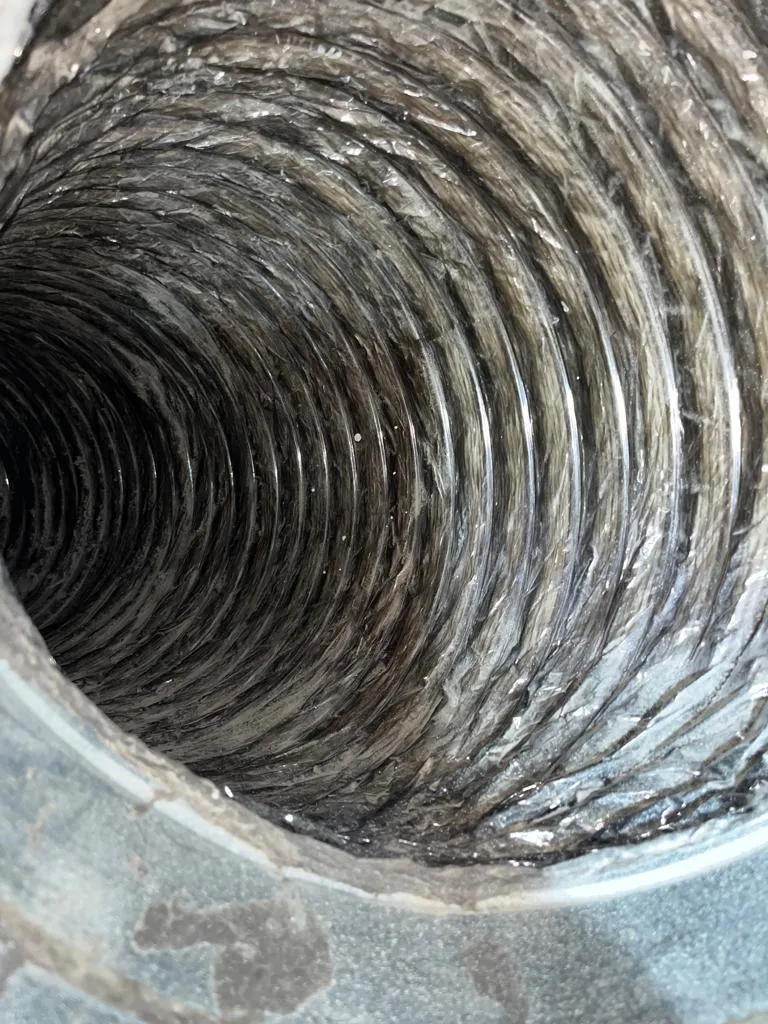 Dryer Vent Repair